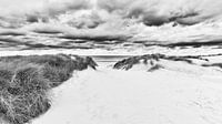 Der Dünenstrand und die Nordsee in Schwarz-Weiß von eric van der eijk Miniaturansicht