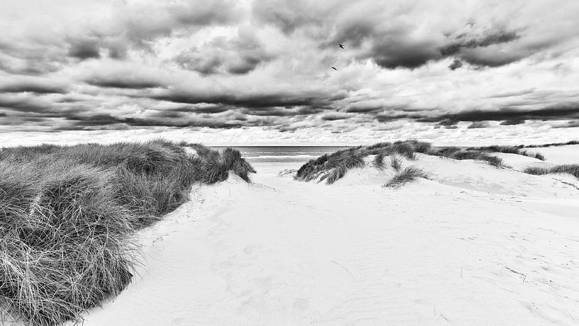Der Dünenstrand und die Nordsee in Schwarz-Weiß von eric van der eijk