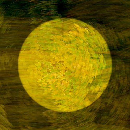 Maan van bladeren (ICM, artistiek)