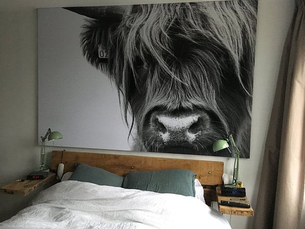 Customer photo: Portrait Scottish Highlander black and white by Sandra van Kampen, as poster
