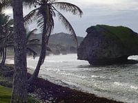 Barbados - East Coast