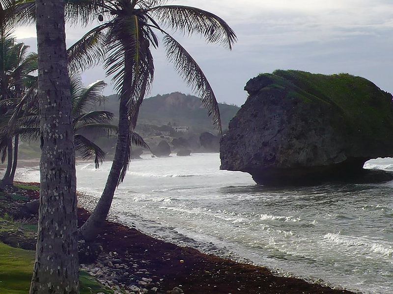 Barbados - East Coast von Daniel Chambers