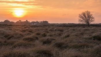 Coucher de soleil sur Hiddensee