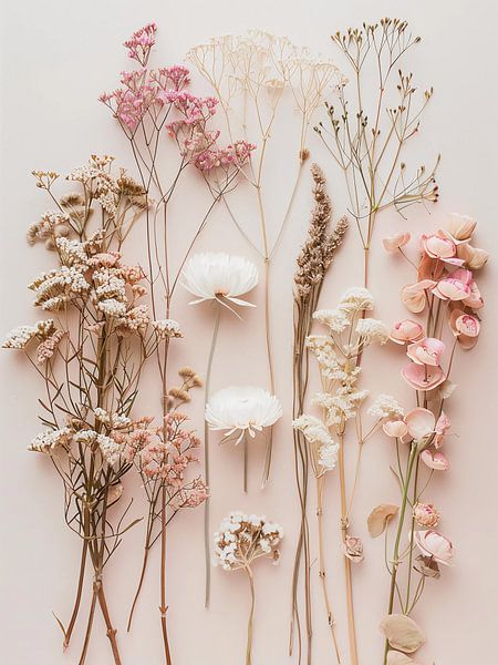 Wildflowers by haroulita