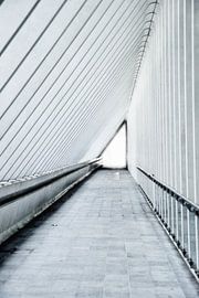 into the triangle by Jo Beerens