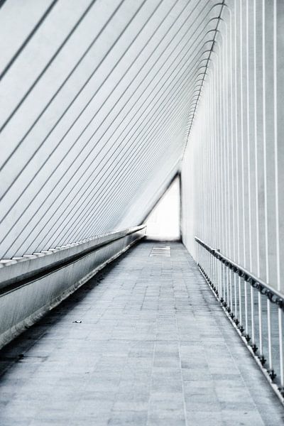 au triangle par Jo Beerens