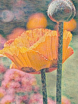 Frühling | Frühling ist ein Bild einer Mohnblume in der Farbe Orange und in der Stimmung von Monet von Wil Vervenne