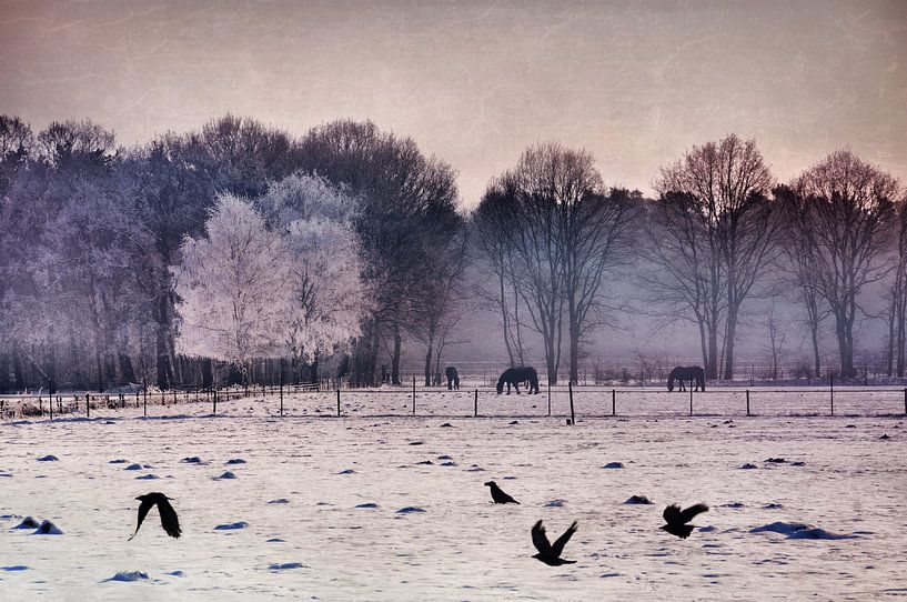 Digital - Schattierungen von Winter von Angelique Brunas