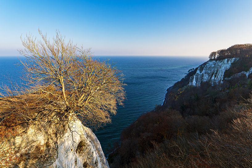 Königsstuhl in autumn on the coast of the Baltic Sea on the island of R by Rico Ködder