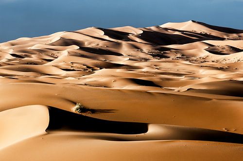 sand dunes at dawn in the desert of the Sahara in Morocco