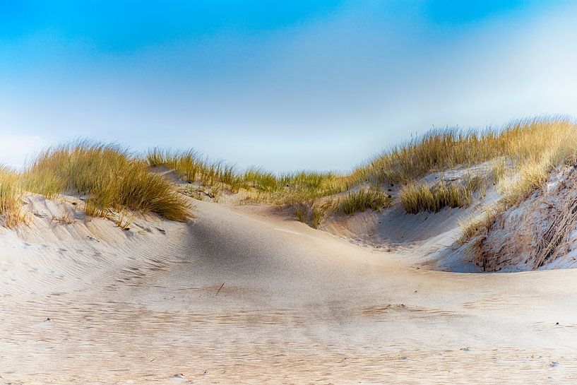 Dunescape by Kirsten Warner