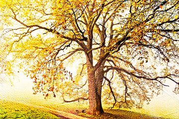 un grand chêne et un banc mixed media