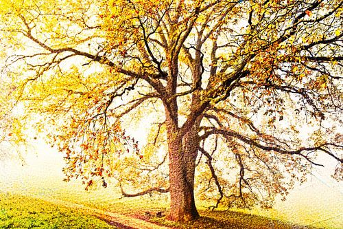 a large oak tree and a bench mixed media