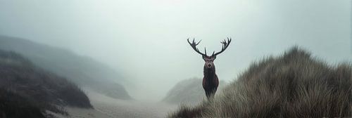 Cerf élaphe dans le brouillard des dunes panorama sur Digitale Schilderijen