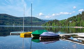 Titisee au petit matin dans la Forêt-Noire