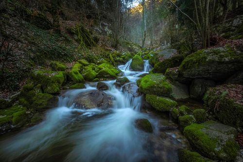 WALDBACH