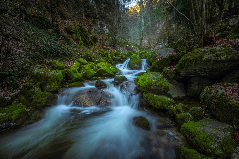 WALDBACH by Simon Schuhmacher