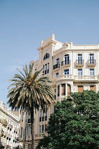 Statige architectuur in Valencia // Spanje // Reis- en Straatfotografie