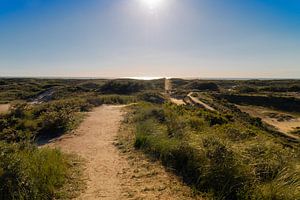 Düne und Horizont