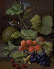 Still Life with Fruits and a Goldfinch, O.D. Ottesen