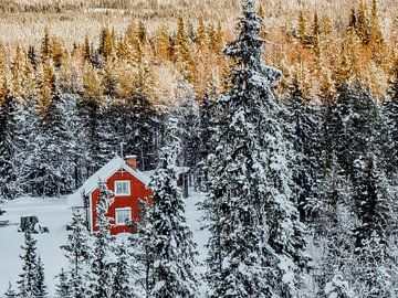 Rood huis in Zweeds Lapland van Alien Loedeman