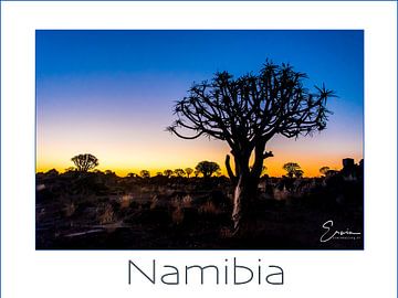 Quiver tree in Namibië van EK Photography
