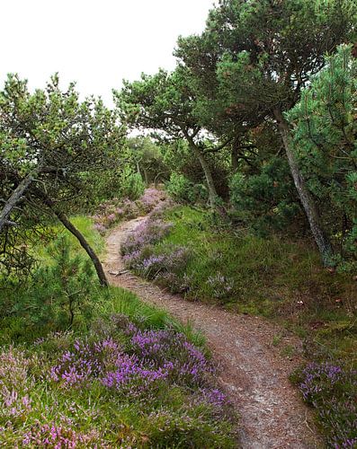 Wandelroute