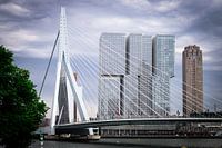 Zwischen Brücke und Wolkenkratzer