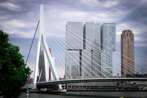 Entre pont et gratte-ciel