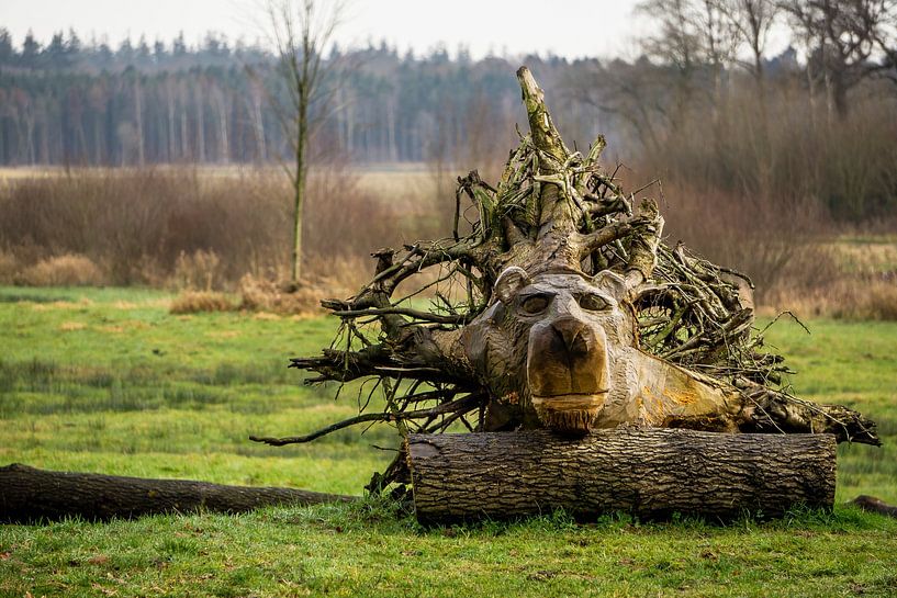 Natural bear by Edwin Boer