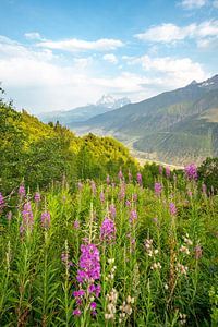 Uitzicht op de bergen van Ushba bij Mestia in Georgië van Leo Schindzielorz