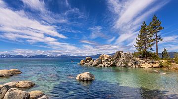 Zomer bij Lake Tahoe, Verenigde Staten van Adelheid Smitt