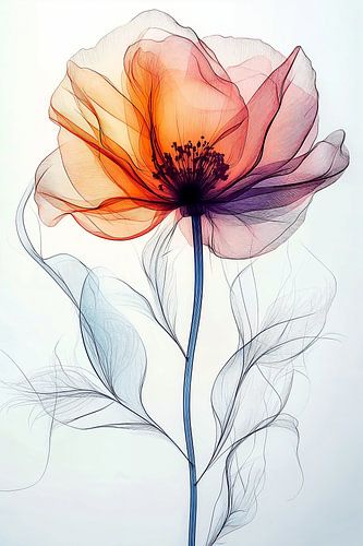 The Inner World of the Poppy no.1