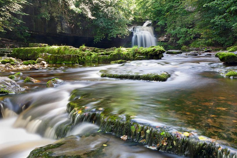 West Burton Falls, Yorkshire, England by Markus Lange
