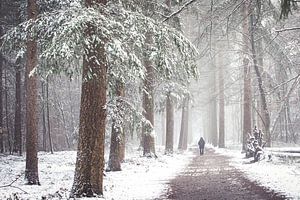 Zeister Wald im Schnee. Winter 2021
