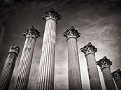 Cordoba - Templo Romano van Alexander Voss thumbnail