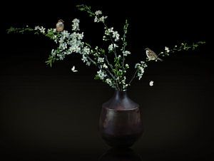 Stilleben weiße Blüte in einer Vase mit Spatzen von Marjolein van Middelkoop
