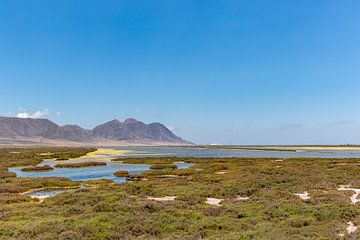 Landschap van Cabo de Gata national park in Andalusië in Zuid-Spanje van WorldWidePhotoWeb