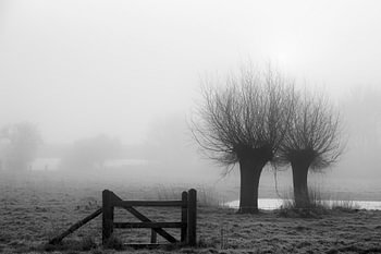 Landschap