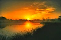 Orange Sun