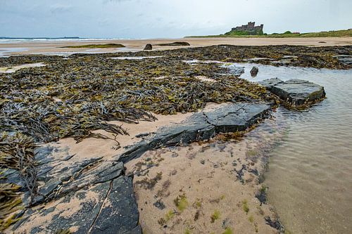 Küstenlandschaft in Ostengland mit im Hintergrund Burg Bamburgh
