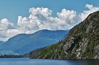 Die wolkigen norwegischen Fjorde von Naomi Elshoff Miniaturansicht