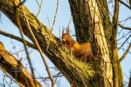 Ein kleiner Moment – und doch so groß von Florian Freiberg