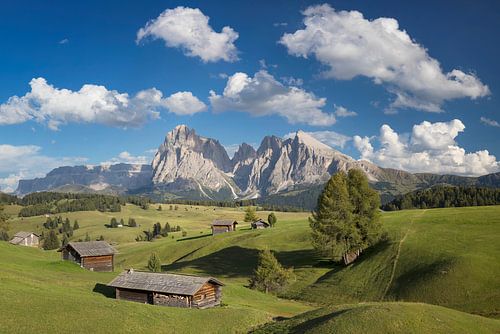 Alpe di Siusi in de Dolomieten