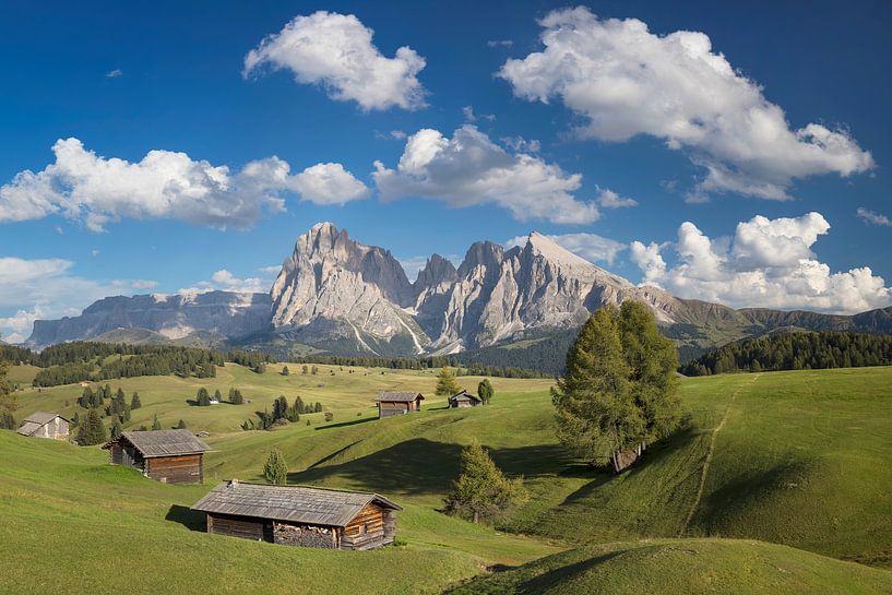 Alpe di Siusi in the Dolomites by Dieter Meyrl