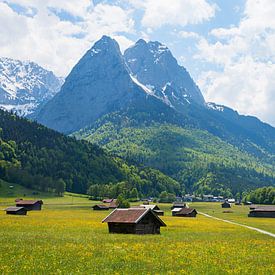 Werdenfelser Land, Garmisch. Weide met hutten en uitzicht op de bergen. van SusaZoom
