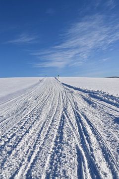 Sneeuwscootersporen in een veld van Claude Laprise