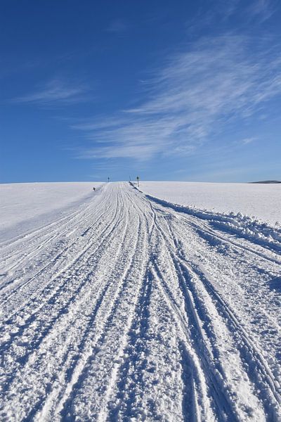 Schneemobilspuren in einem Feld von Claude Laprise