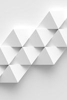 White Rhombs