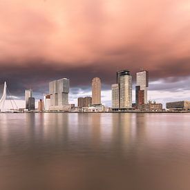 Sky Line Rotterdam von Edwin Stuit